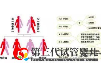 地中海貧血怎么辦泰國第三代試管避免子代遺傳!(圖3)