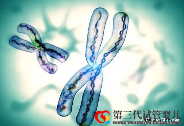 遺傳病能做試管嬰兒嗎(圖1) 遺傳病能做試管嬰兒嗎(圖1)