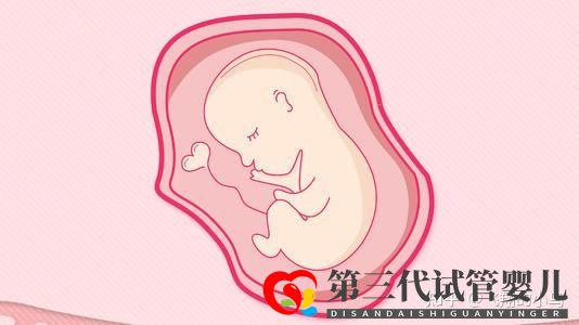 第三代試管的流程及時(shí)間究竟是(圖1) 第三代試管的流程及時(shí)間究竟是(圖1)