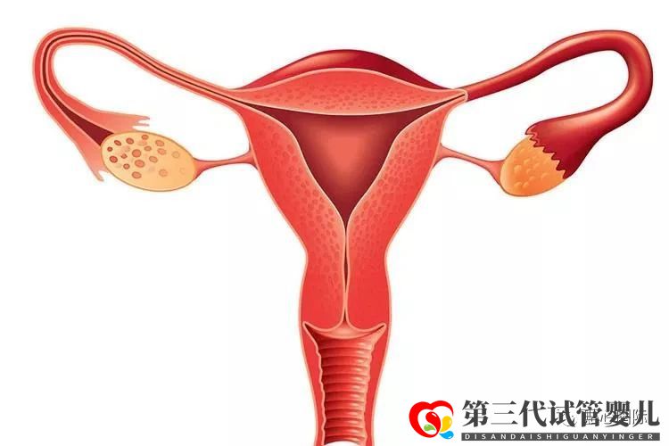 習慣性流產可以做供卵試管避免嗎?流產后多久可以做試管嬰兒?(圖1) 習慣性流產可以做供卵試管避免嗎?流產后多久可以做試管嬰兒?(圖1)