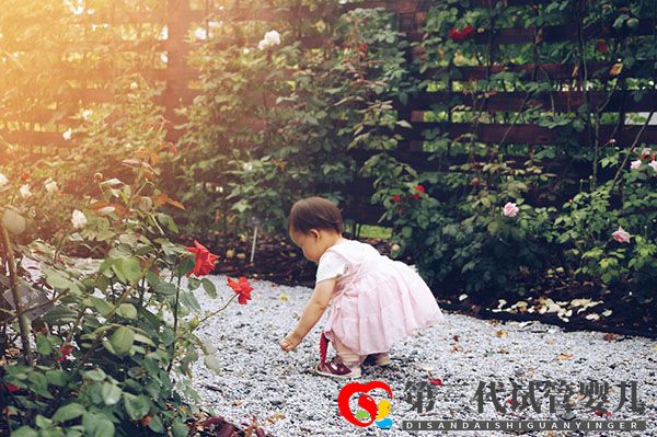 三代試管促排吃啥可以提高卵泡質量(圖1) 1-2202161F912257.jpg