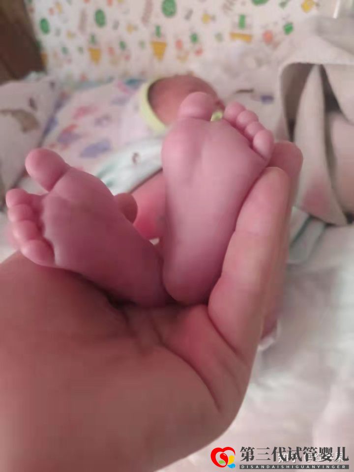 三代試管嬰兒一次成功,33歲終于有了自己的孩子!(圖8)