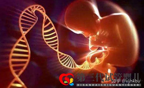 第三代試管最少要幾個囊胚才算穩(wěn)妥(圖3)