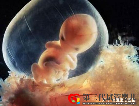 不孕夫婦獨家大揭秘第三代試管嬰兒多少錢(圖2)