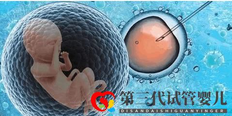 泰國試管嬰兒費用第二代和第三代的相差多少(圖2) 泰國試管嬰兒費用第二代和第三代的相差多少(圖2)