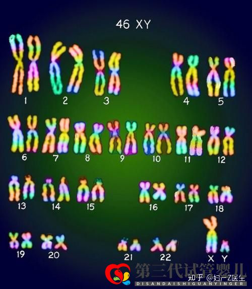 全國試管前百名醫(yī)院2021年全國三代試管嬰兒資質(zhì)醫(yī)...(圖3)