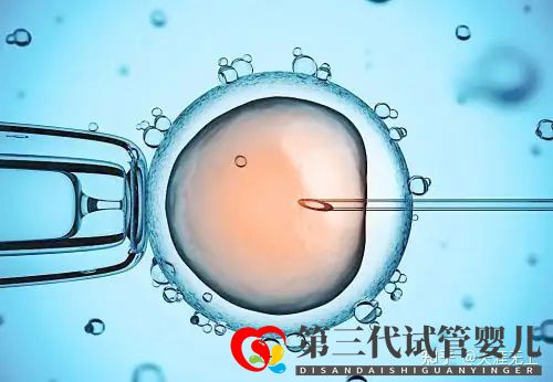 最新全國三代試管嬰兒資質醫院匯總(附醫院名單)(圖1) 最新全國三代試管嬰兒資質醫院匯總(附醫院名單)(圖1)