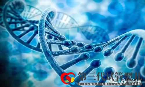 國內助孕公司可以選性別包成功嗎(圖2)