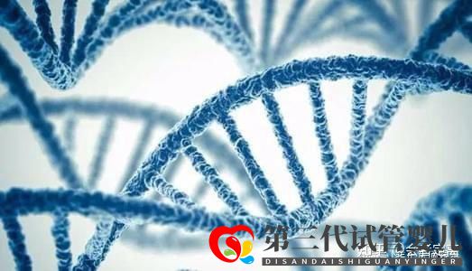 國內助孕公司可以選性別包成功嗎(圖1)