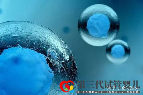 三代試管私立醫院有哪些比較靠譜的(圖1) 三代試管私立醫院有哪些比較靠譜的(圖1)