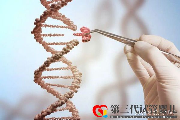 國內排名靠前的三代試管醫(yī)院都有哪些第一梯隊了解下(圖5)