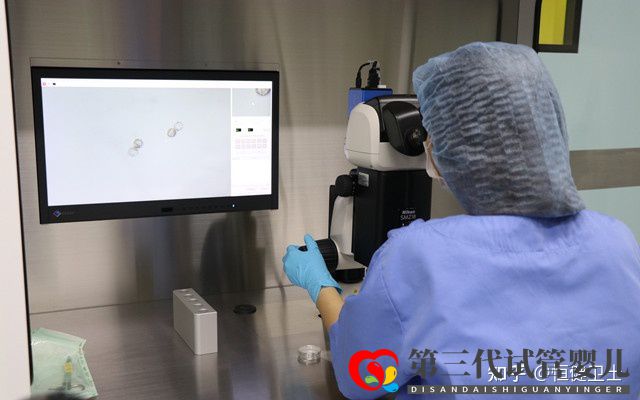 第三代試管嬰兒成功率及其費用詳解2022(圖1)