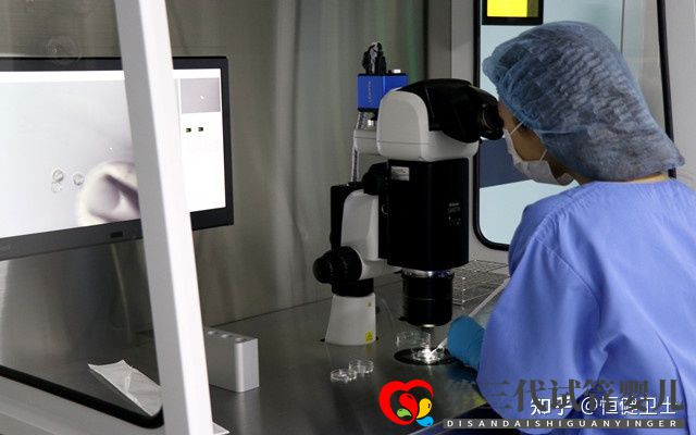 第三代試管嬰兒成功率及其費用詳解2022(圖4)