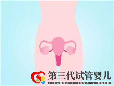 做第三代試管嬰兒和甲狀腺有什么關系嗎？(圖2)