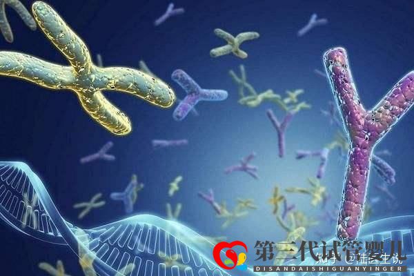 發(fā)生過胚胎染色體異常還能要寶寶嗎(圖1) 發(fā)生過胚胎染色體異常還能要寶寶嗎(圖1)