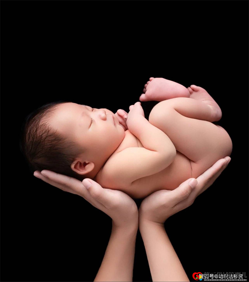 【生殖科普】夫妻染色體正常,為什么胚胎染色體異常?(圖1) 【生殖科普】夫妻染色體正常,為什么胚胎染色體異常?(圖1)