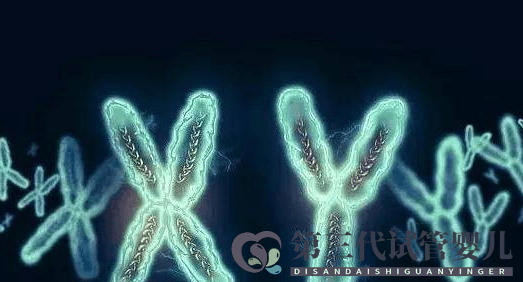 MDS有染色體異常是不是很難治?(圖1) MDS有染色體異常是不是很難治?(圖1)