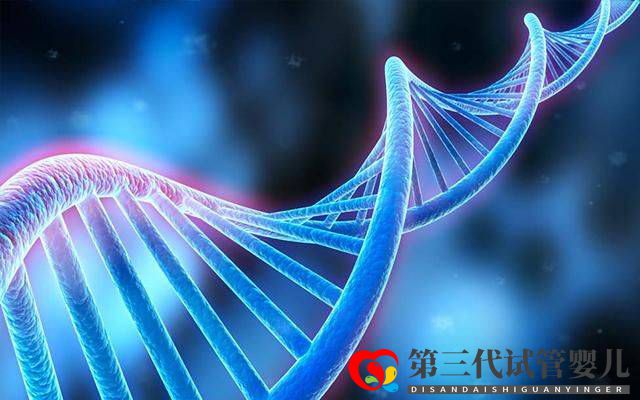 為什么父母染色體正常，胚胎染色體卻有問題？(圖2)