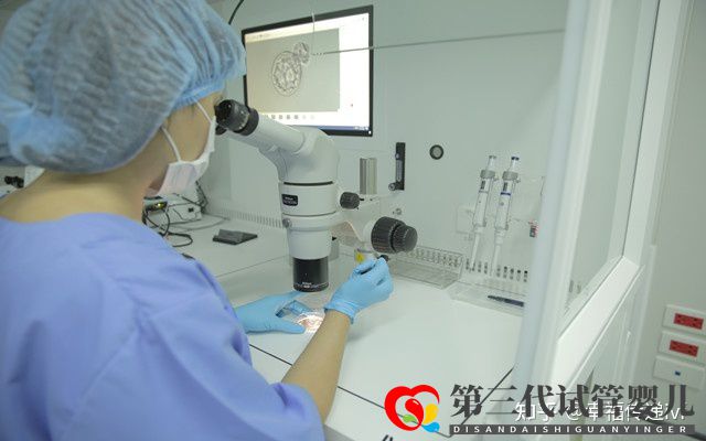 揭秘三代試管的成功率(圖3) 揭秘三代試管的成功率(圖3)
