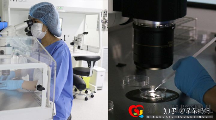 第三代試管嬰兒一次成功率大嗎(圖1) 第三代試管嬰兒一次成功率大嗎(圖1)