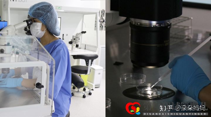 第三代試管嬰兒一次成功率大嗎(圖2) 第三代試管嬰兒一次成功率大嗎(圖2)