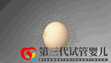 第三代試管嬰兒真的最好最先進嗎國內(nèi)哪里可以做(圖1) 第三代試管嬰兒真的最好最先進嗎國內(nèi)哪里可以做(圖1)