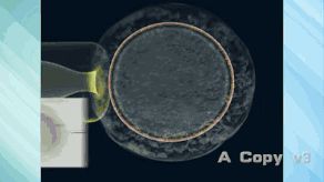 第三代試管嬰兒真的最好最先進嗎國內(nèi)哪里可以做(圖2) 第三代試管嬰兒真的最好最先進嗎國內(nèi)哪里可以做(圖2)