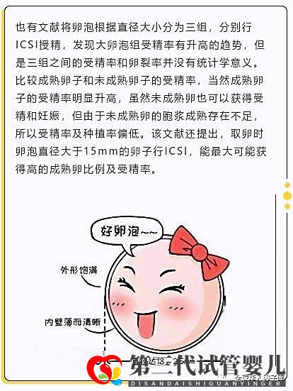 卵泡大小和試管成功率有關系嗎？大卵泡是不是越多越好？(圖3)