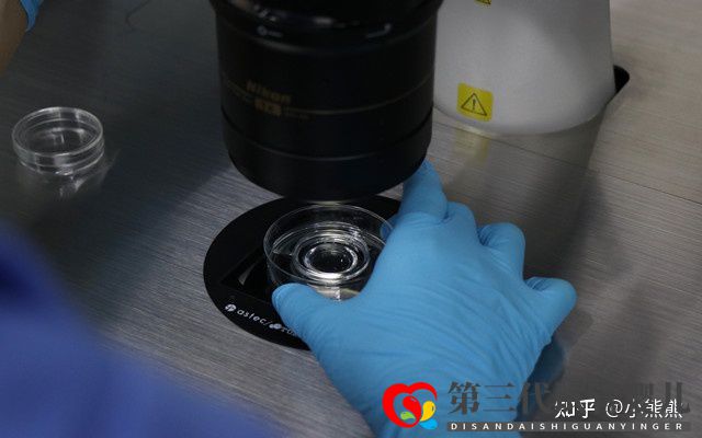 40歲做三代試管成功率有多大(圖2)