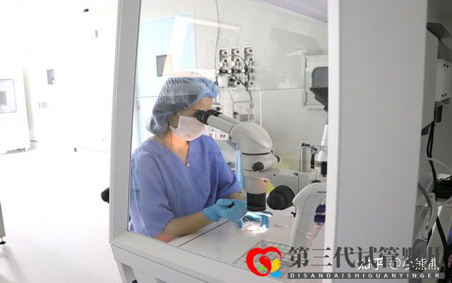 40歲做三代試管成功率有多大(圖4)