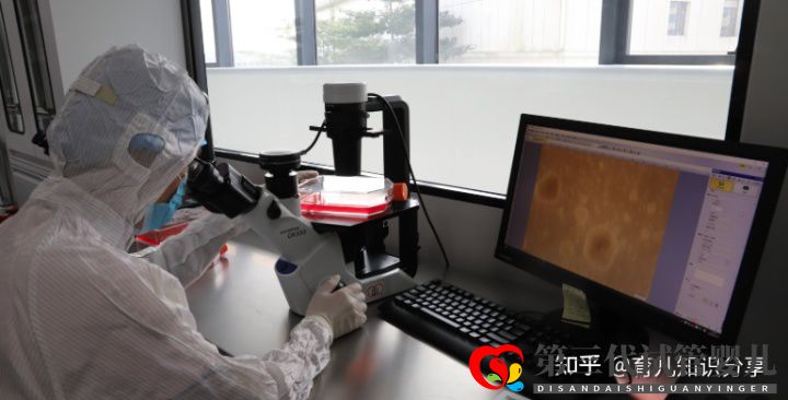 解析國內(nèi)做試管第三代大概需要多少錢(圖1) 解析國內(nèi)做試管第三代大概需要多少錢(圖1)