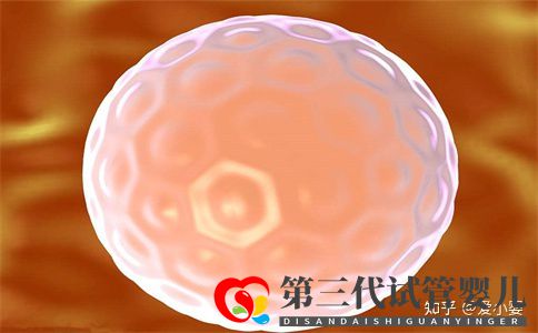 三代試管一個周期是什么意思(圖1) 三代試管一個周期是什么意思(圖1)