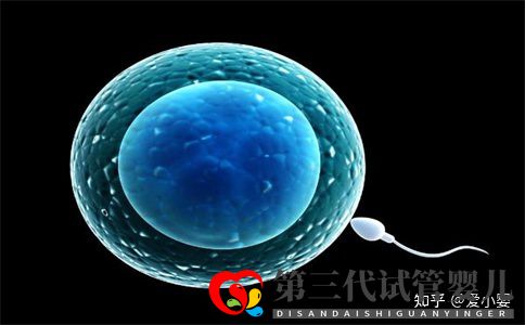 三代試管一個周期是什么意思(圖3) 三代試管一個周期是什么意思(圖3)