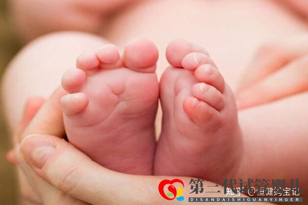 第三代試管的流程及時間(圖3) 第三代試管的流程及時間(圖3)