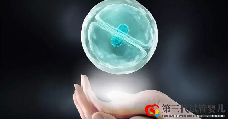 試管嬰兒凍胚移植和鮮胚移植的區別三代試管為什么要凍胚(圖2) 試管嬰兒凍胚移植和鮮胚移植的區別三代試管為什么要凍胚(圖2)