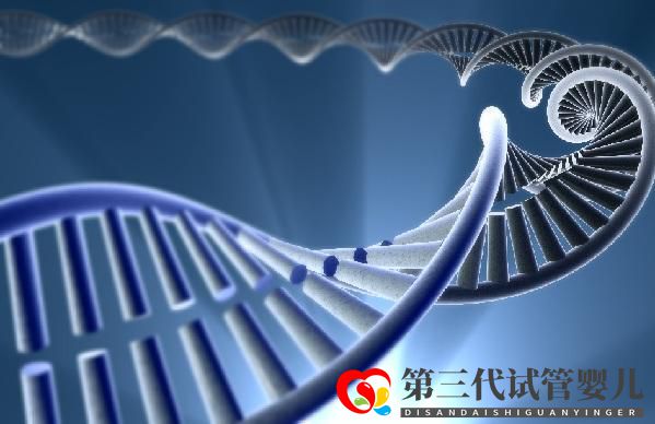 第三代試管嬰兒與PGDPGS基因篩查技術(圖2)