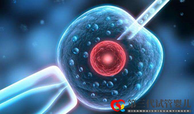 試管嬰兒取卵前后6大注意事項你知道多少?(圖1) 試管嬰兒取卵前后6大注意事項你知道多少?(圖1)