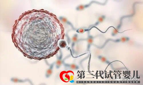 第三代試管嬰兒生出來的孩子健康嗎(圖1) 第三代試管嬰兒生出來的孩子健康嗎(圖1)