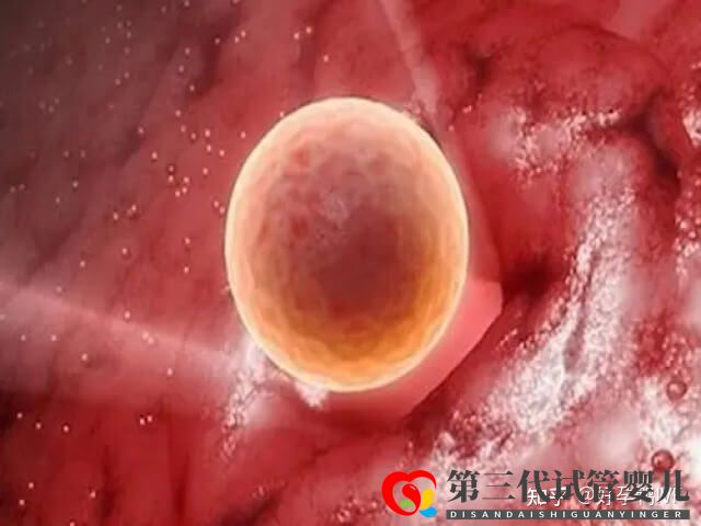 50歲絕經(jīng)做一次供卵試管移植的成功率是多少(圖2) 50歲絕經(jīng)做一次供卵試管移植的成功率是多少(圖2)