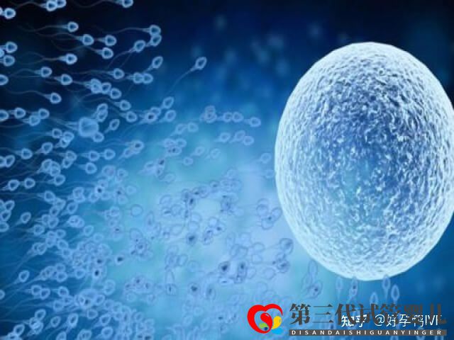 50歲絕經(jīng)做一次供卵試管移植的成功率是多少(圖3) 50歲絕經(jīng)做一次供卵試管移植的成功率是多少(圖3)