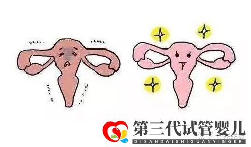 女性46歲高齡做試管嬰兒成功率怎么樣(圖1)