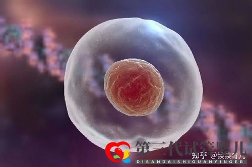 高齡女性試管多次失敗,應(yīng)該何去何從(圖2) 高齡女性試管多次失敗,應(yīng)該何去何從(圖2)