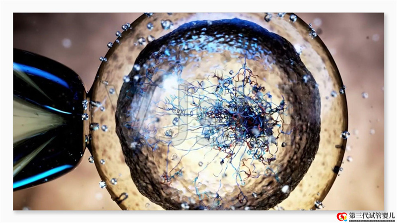 試管嬰兒費用大約多少 ——最全面的費用詳解(...(圖3)