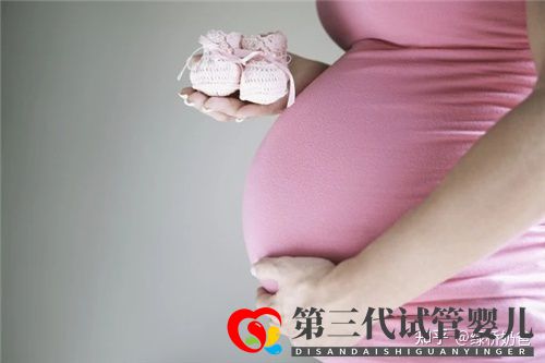 試管移植的成功率一般能有多少(圖1) 試管移植的成功率一般能有多少(圖1)