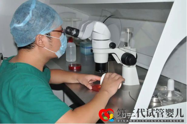 人工授精跟試管嬰兒的區別(圖4)