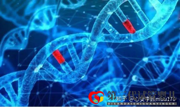 人工授精跟試管嬰兒的區別(圖7)