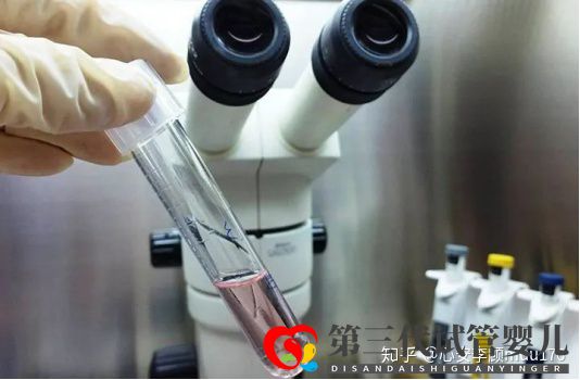 人工授精跟試管嬰兒的區別(圖9)