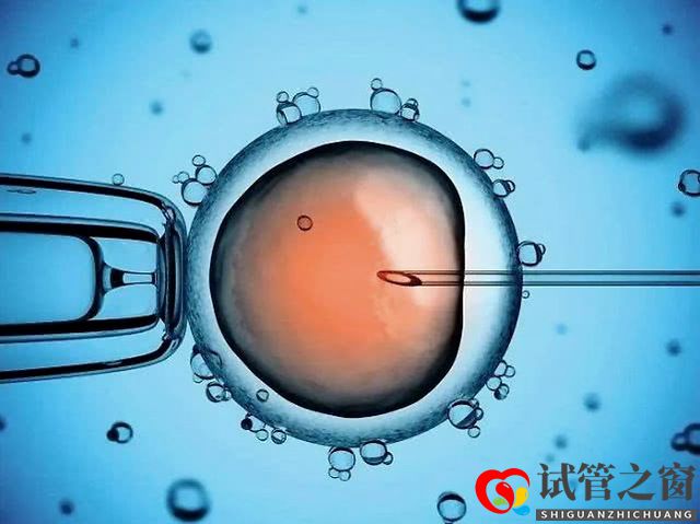 關于試管嬰兒促排卵，您想知道的都在這里！(圖1)