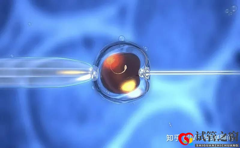 關于試管嬰兒,你想知道的都在這里,不懂就得多看看(圖6)