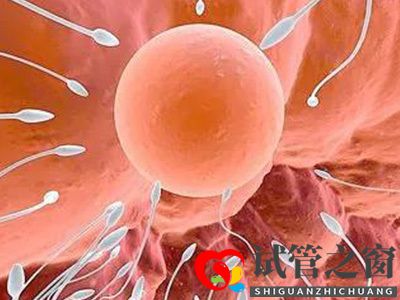 關于試管嬰兒常見的6大疑問,你都知道答案嗎(圖2) 關于試管嬰兒常見的6大疑問,你都知道答案嗎(圖2)